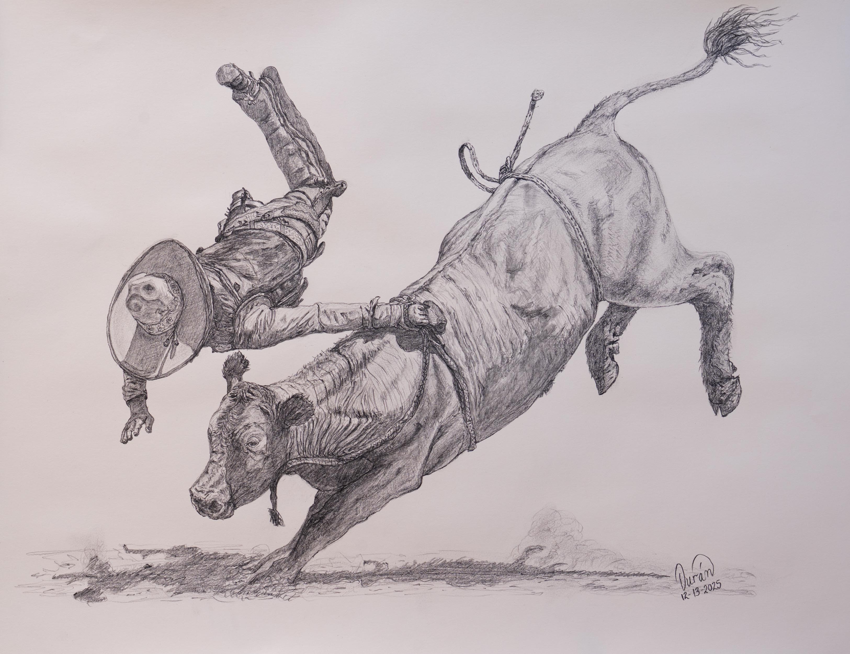 Jineteo de toro 1
